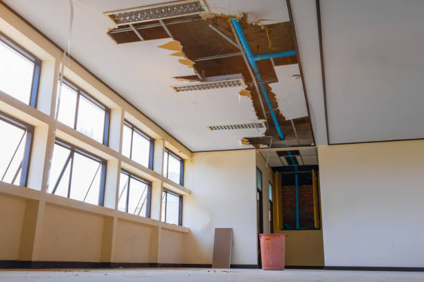  La Feria, TX Water damage restoration Pros