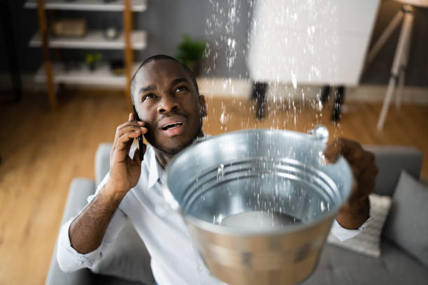 Water damage restoration mold remediation in La Feria, TX