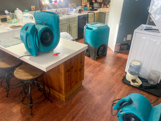 Best Flood damage cleanup  in La Feria, TX