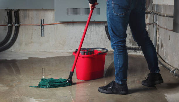 Best Water damage mitigation services  in La Feria, TX