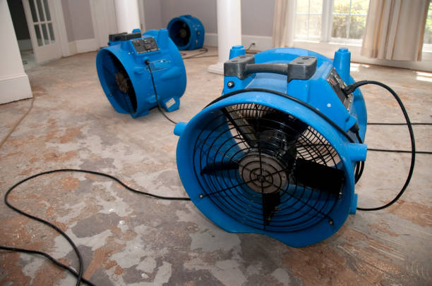 Carpet water damage restoration in La Feria, TX