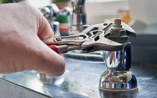 Best Local water damage restoration  in La Feria, TX